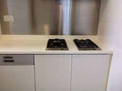 Cairnhill Residences (D9), Apartment #548685101
